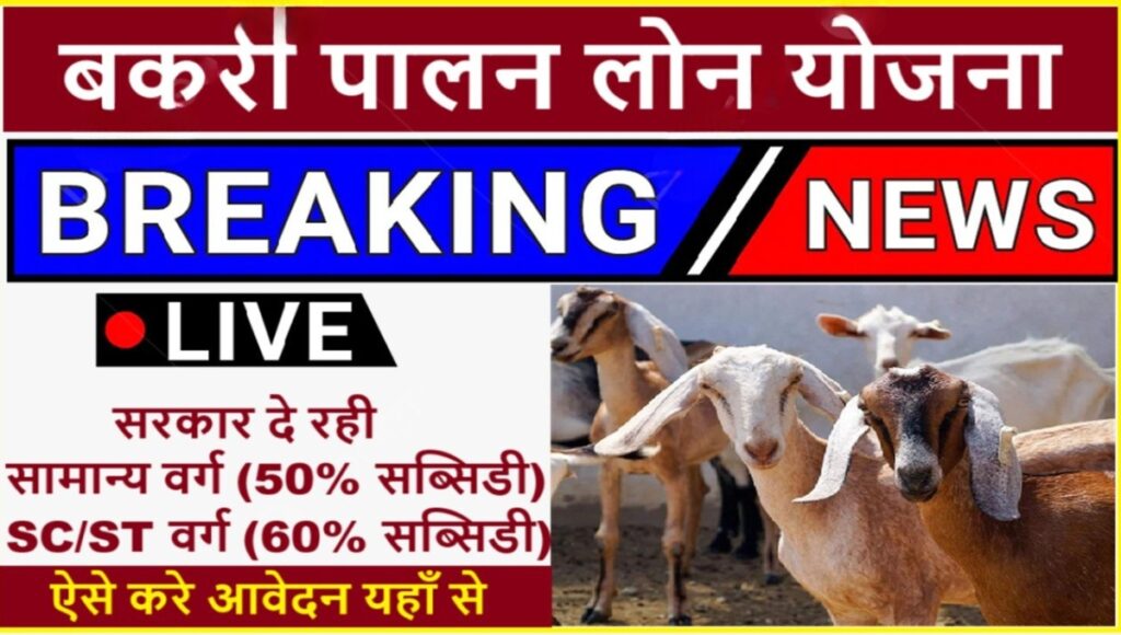 Bakri Palan Farm Yojana बना रोजगार का नया रास्ता: जानिए कैसे मिलेगी 7 लाख की सब्सिडी